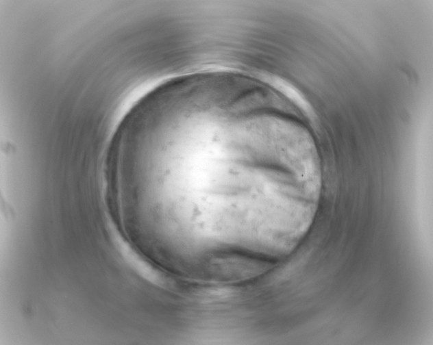 X0000090891431200708101354