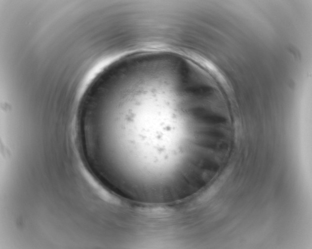 X0000090891432200708101354