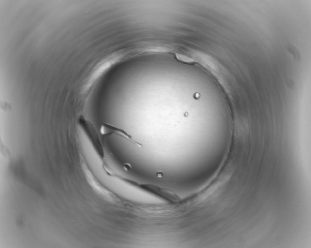 X0000090891433200708101354