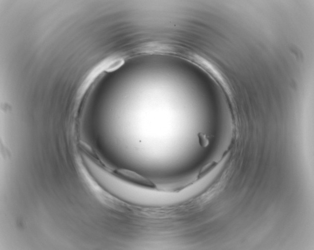 X0000090891434200708101354