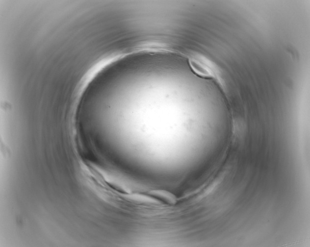 X0000090891435200708101354