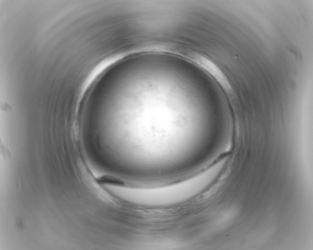 X0000090891436200708101354