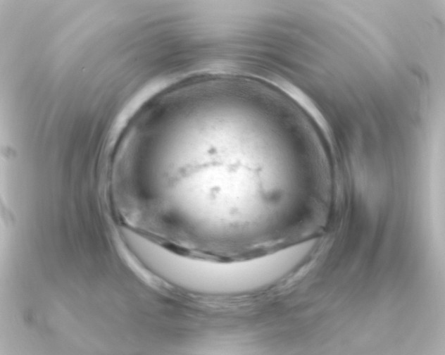 X0000090891437200708101354