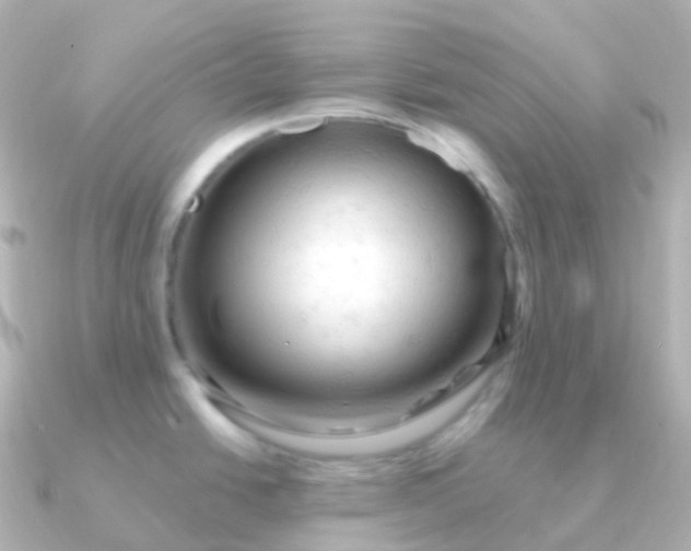 X0000090891438200708101354