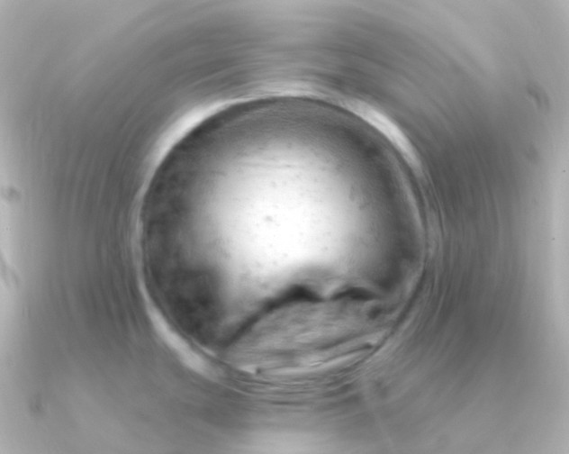 X0000090891439200708101354