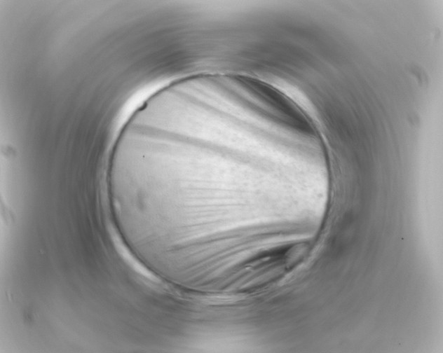 X0000090891440200708101354