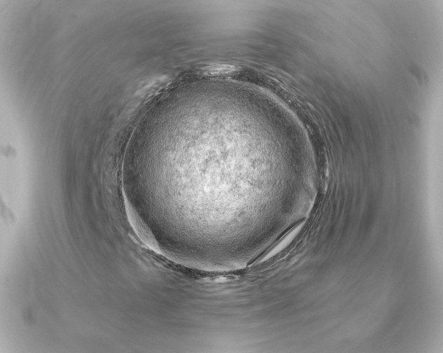 X0000090891441200708101354