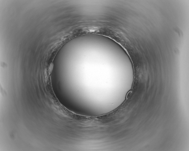 X0000090891442200708101354