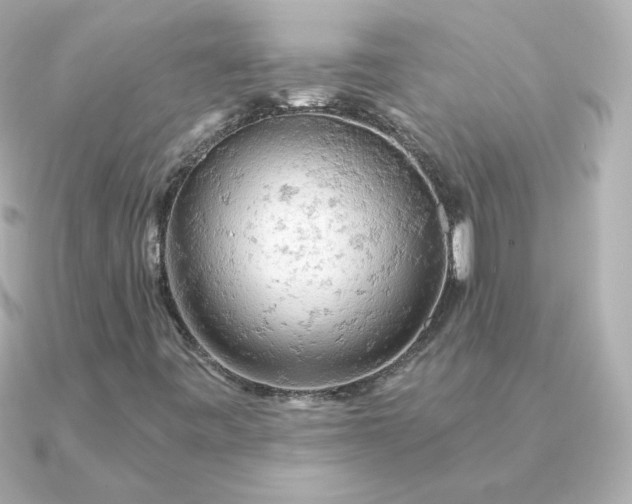 X0000090891443200708101354