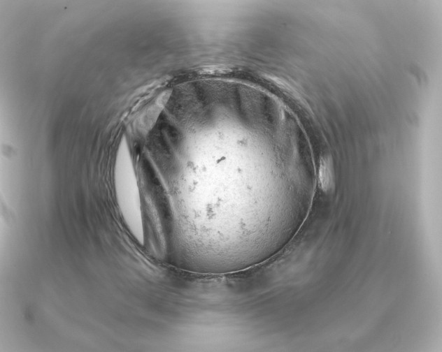 X0000090891444200708101354