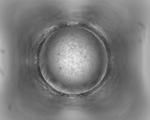 X0000090891445200708101354