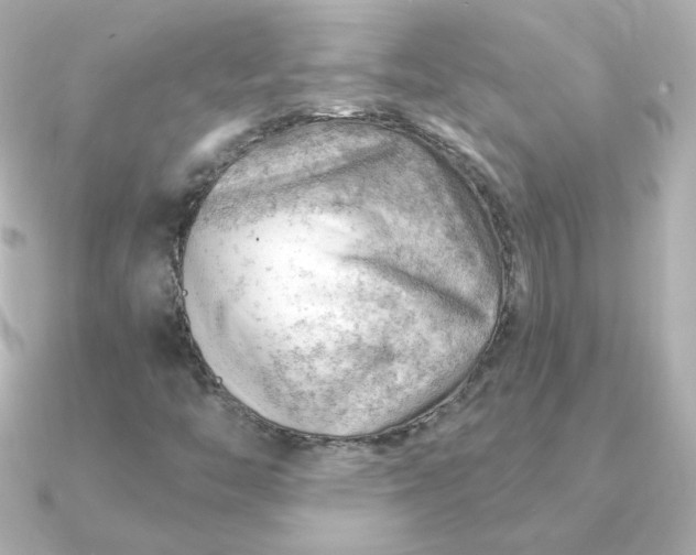 X0000090891446200708101354