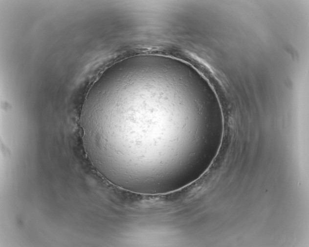 X0000090891447200708101354