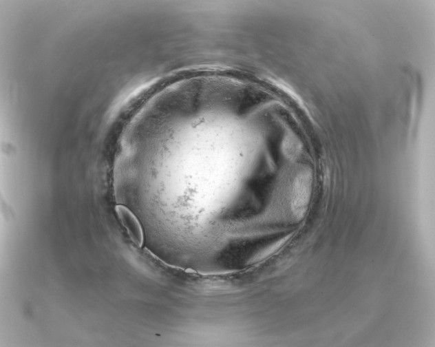 X0000090891448200708101354