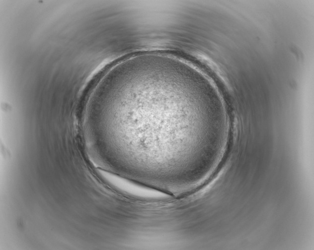 X0000090891449200708101354