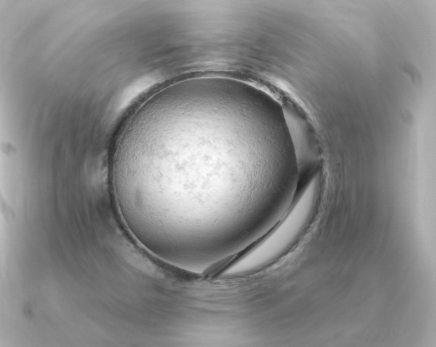 X0000090891450200708101354