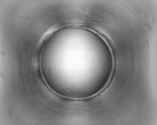 X0000090891451200708101354