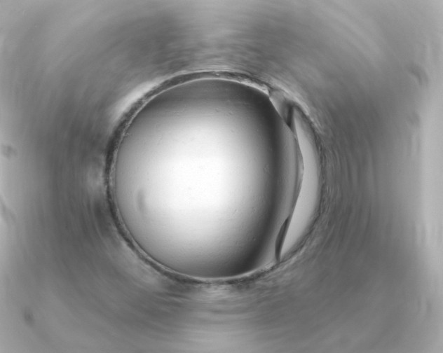 X0000090891452200708101354