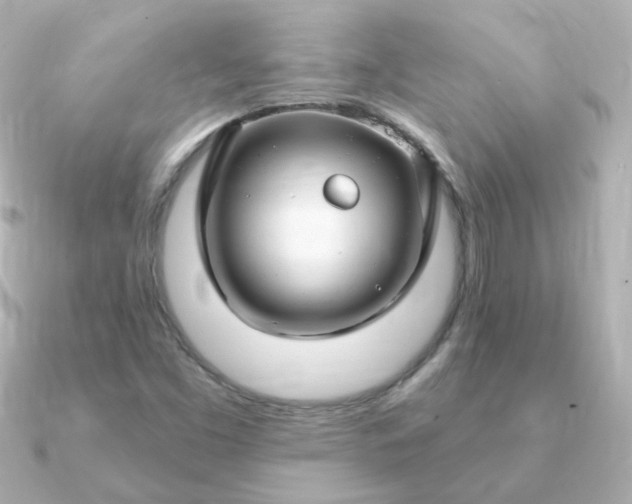 X0000090891453200708101354