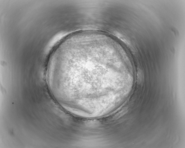 X0000090891454200708101354