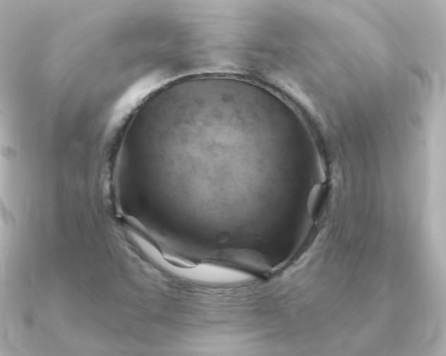 X0000090891455200708101354