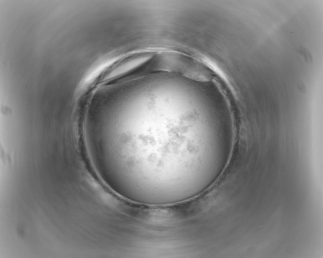 X0000090891456200708101354