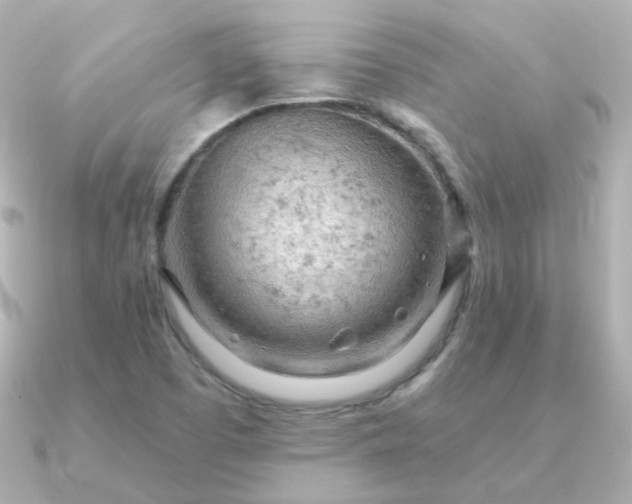 X0000090891457200708101354