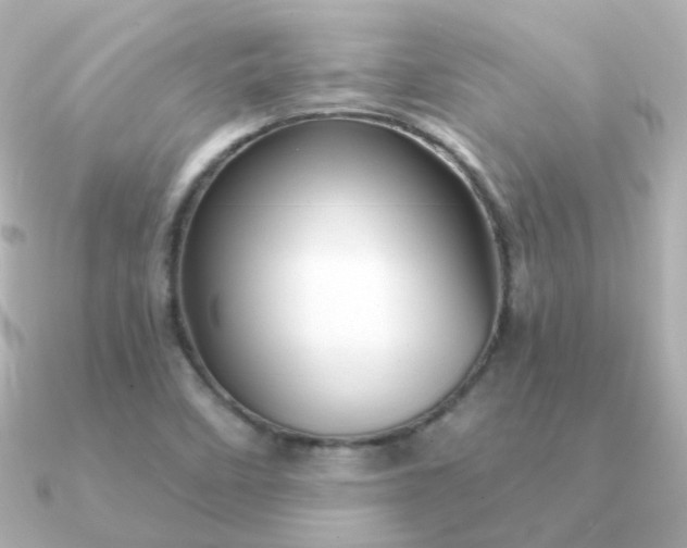 X0000090891458200708101354