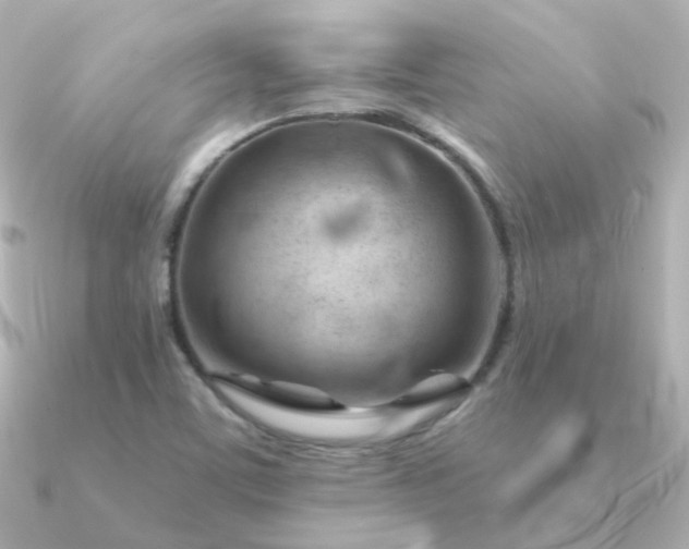 X0000090891459200708101354