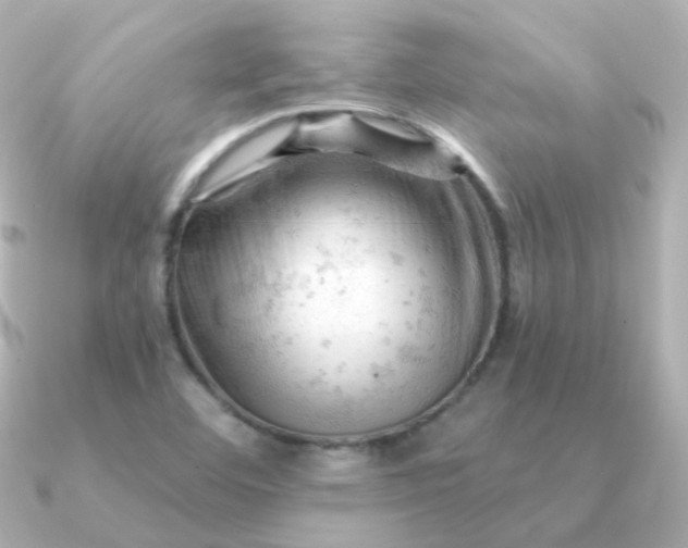 X0000090891460200708101354