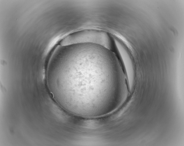 X0000090891461200708101354