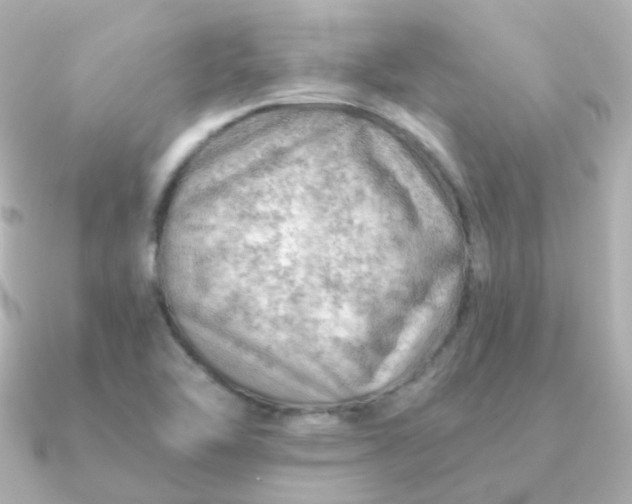 X0000090891462200708101354