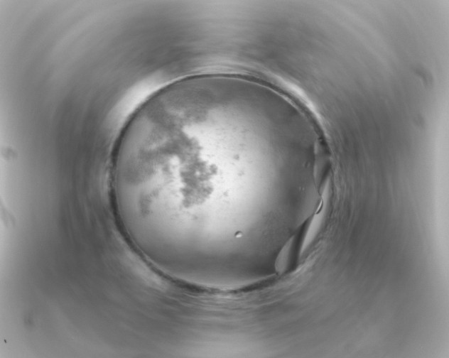 X0000090891463200708101354