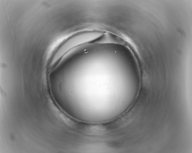 X0000090891464200708101354