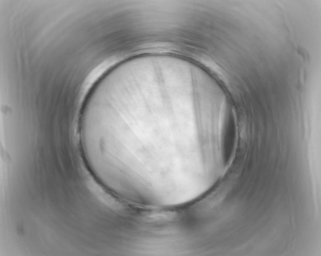 X0000090891466200708101354