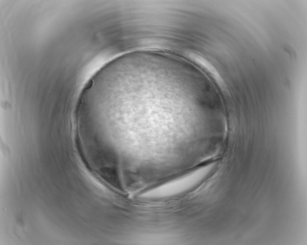 X0000090891467200708101354