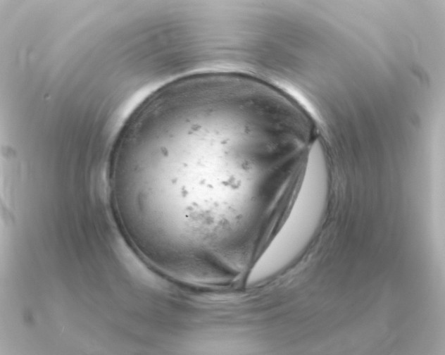 X0000090891468200708101354