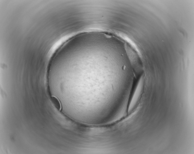 X0000090891469200708101354