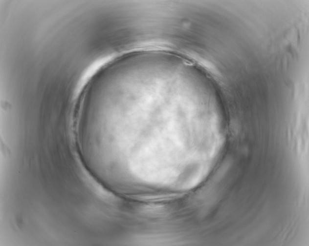 X0000090891470200708101353