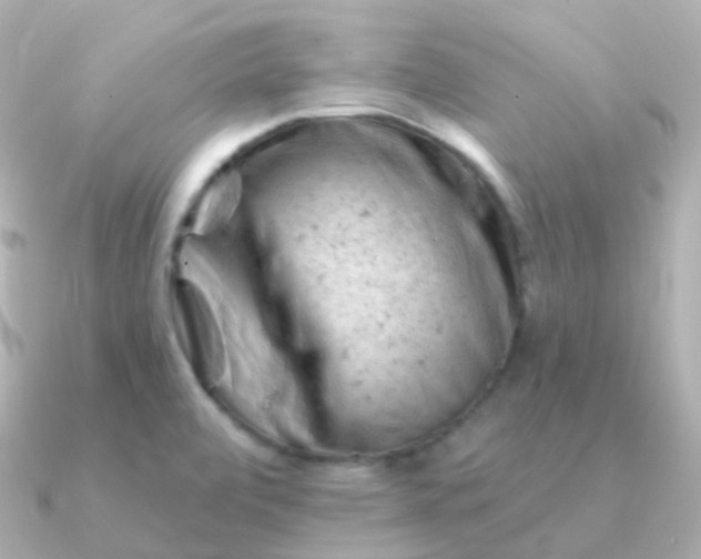 X0000090891472200708101353