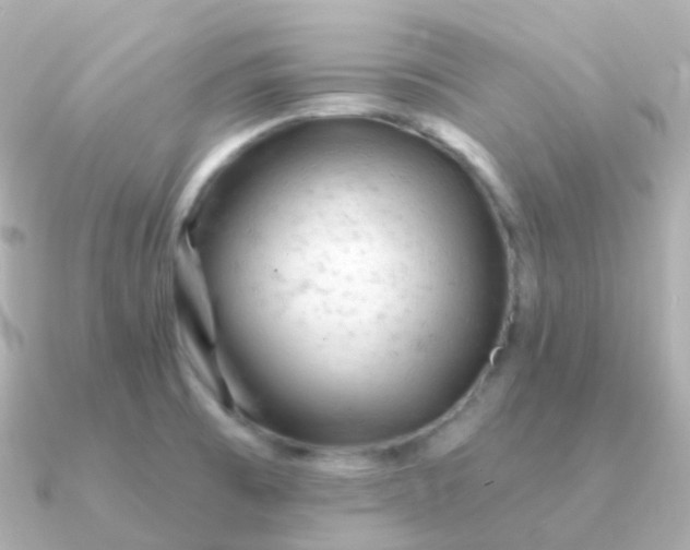 X0000090891473200708101353