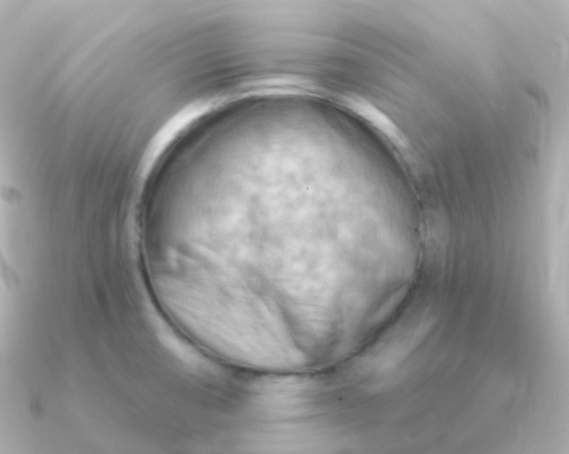 X0000090891474200708101353