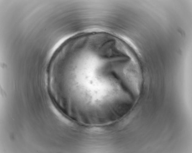 X0000090891476200708101353