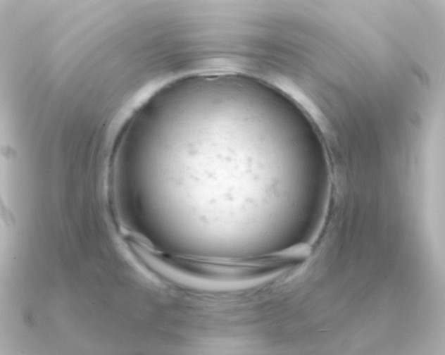 X0000090891477200708101353