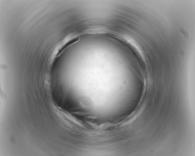 X0000090891481200708101353