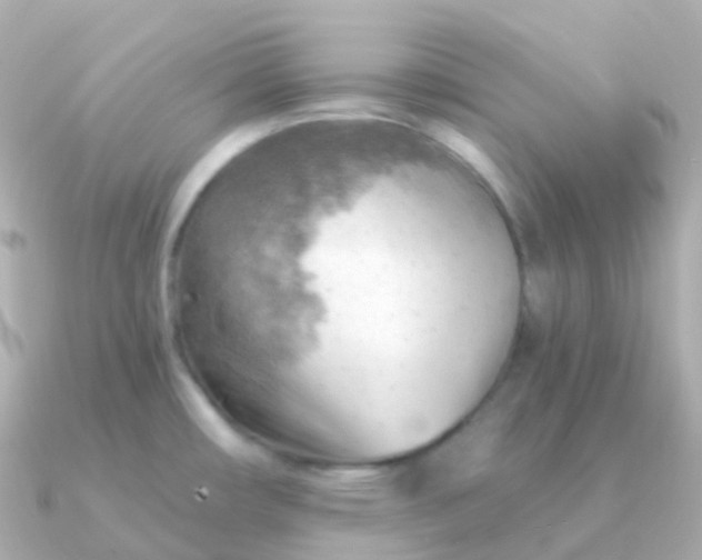 X0000090891482200708101353