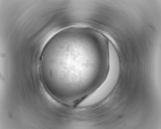 X0000090891484200708101353