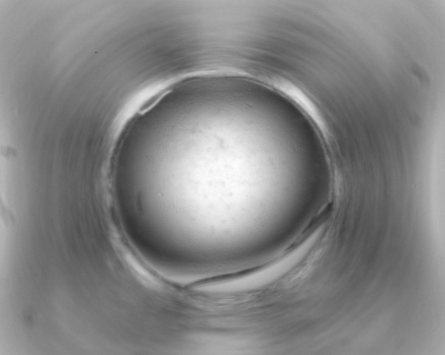 X0000090891485200708101353