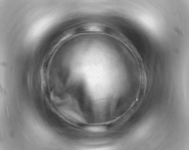 X0000090891487200708101353