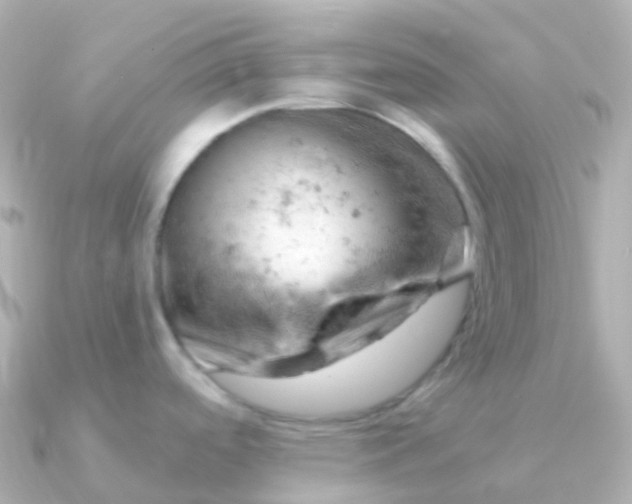 X0000090891488200708101353